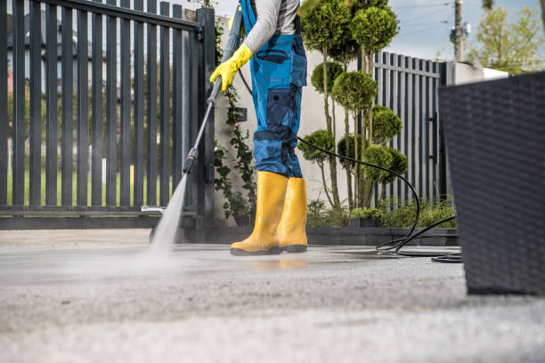 Best Patio and Deck Pressure Washing  in Verdi, NV